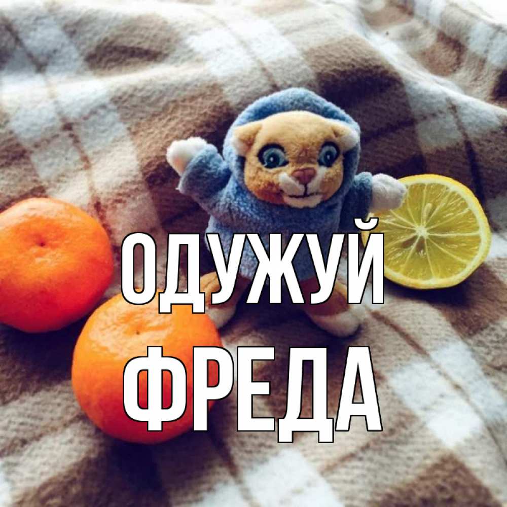 Открытка на каждый день з підписом, Фреда Одужуй вот тебе апельсинка и лимон Прикольна листівка з побажанням онлайн скачати безкоштовно 