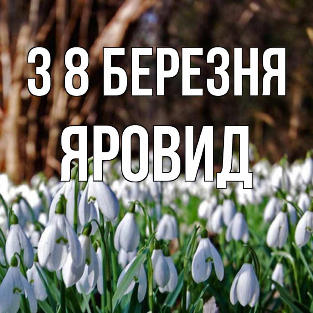 Открытка на каждый день з підписом, Яровид З 8 БЕРЕЗНЯ с подснежниками 1 Прикольна листівка з побажанням онлайн скачати безкоштовно 