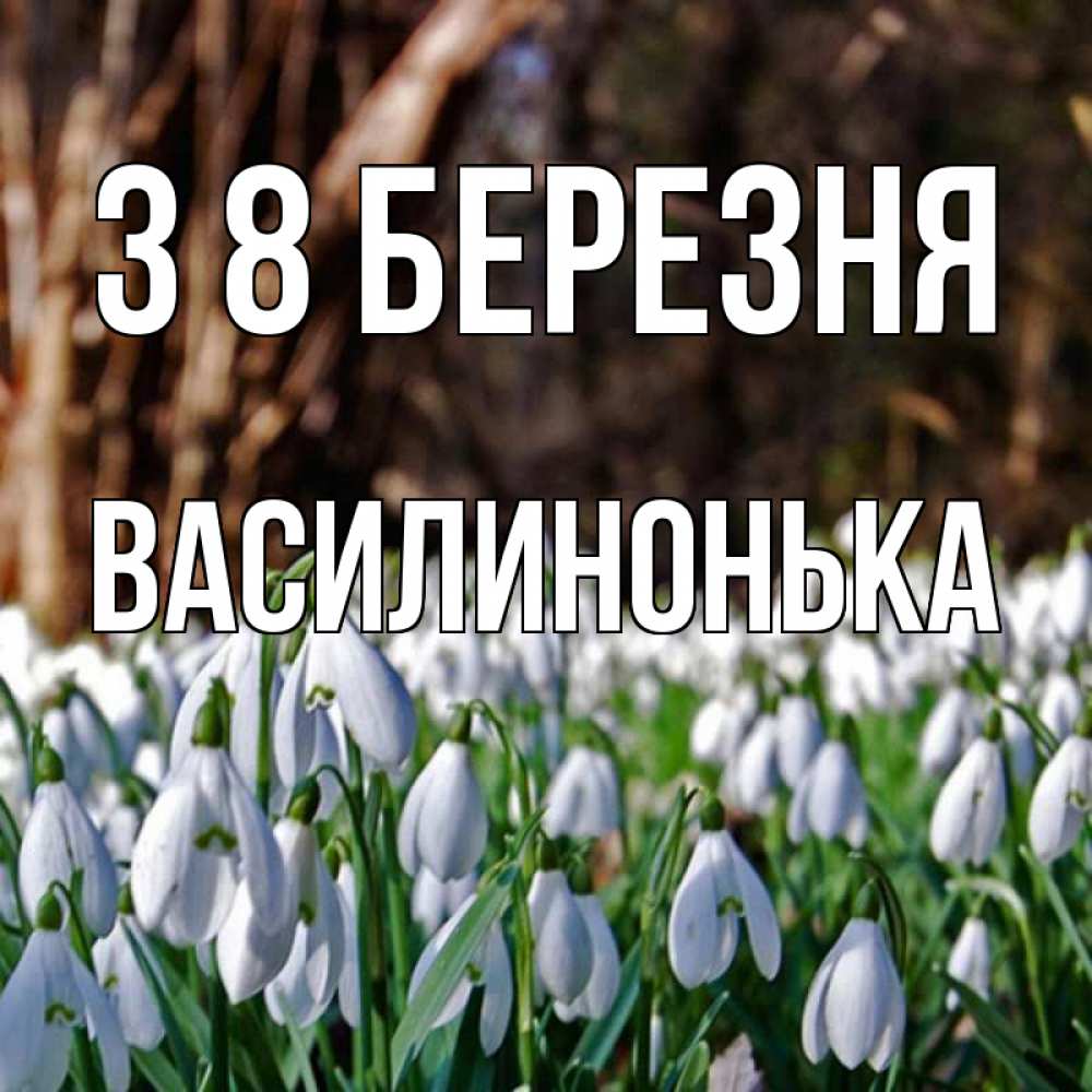 Открытка на каждый день з підписом, Василинонька З 8 БЕРЕЗНЯ с подснежниками 1 Прикольна листівка з побажанням онлайн скачати безкоштовно 