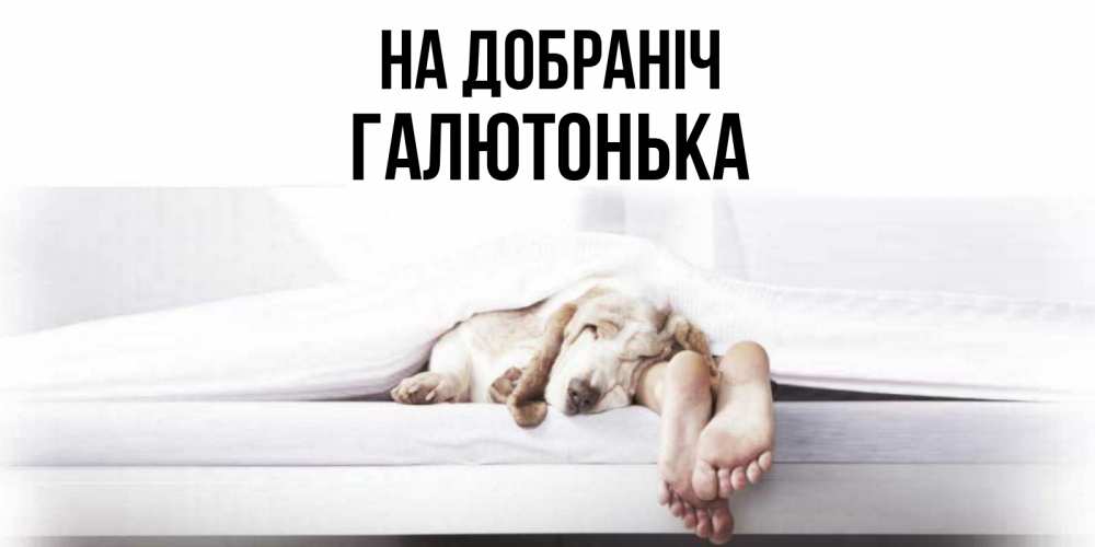 Открытка на каждый день з підписом, Галютонька На добраніч кровать с собакой пожелание сладких снов и спокойной ночи Прикольна листівка з побажанням онлайн скачати безкоштовно 