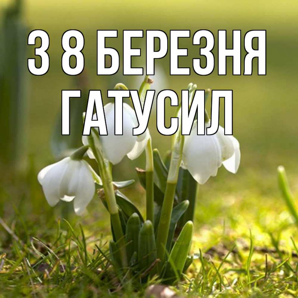 Открытка на каждый день з підписом, Гатусил З 8 БЕРЕЗНЯ ранние цветы 2 Прикольна листівка з побажанням онлайн скачати безкоштовно 