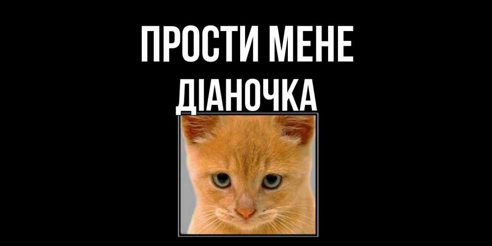 Открытка на каждый день з підписом, Діаночка Прости мене рыжий грустный кот просит прощения Прикольна листівка з побажанням онлайн скачати безкоштовно 
