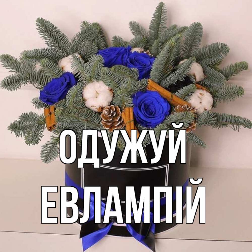 Открытка на каждый день з підписом, Евлампій Одужуй короче кто то загрузил эти шишки Прикольна листівка з побажанням онлайн скачати безкоштовно 