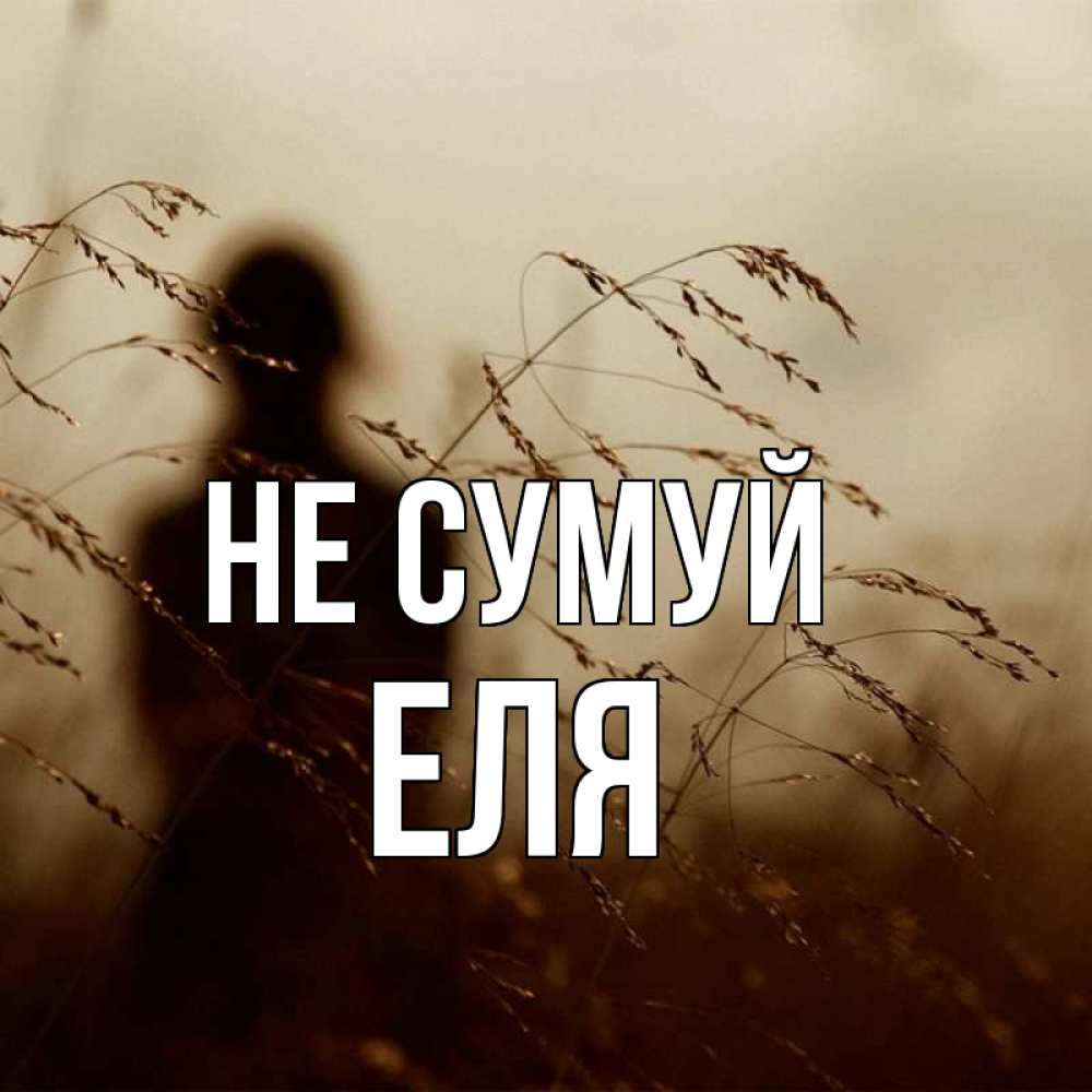 Открытка на каждый день з підписом, Еля Не сумуй грусть Прикольна листівка з побажанням онлайн скачати безкоштовно 