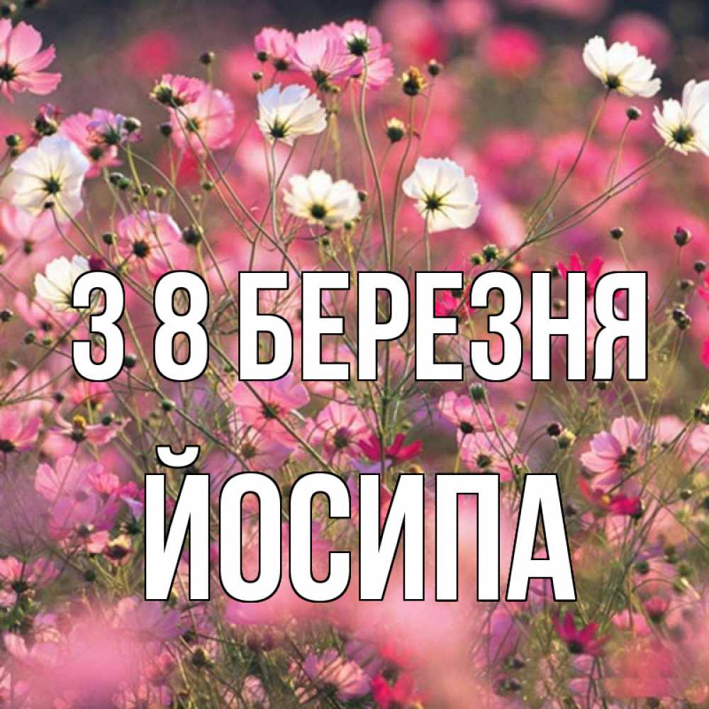 Открытка на каждый день з підписом, Йосипа З 8 БЕРЕЗНЯ красиво 1 Прикольна листівка з побажанням онлайн скачати безкоштовно 
