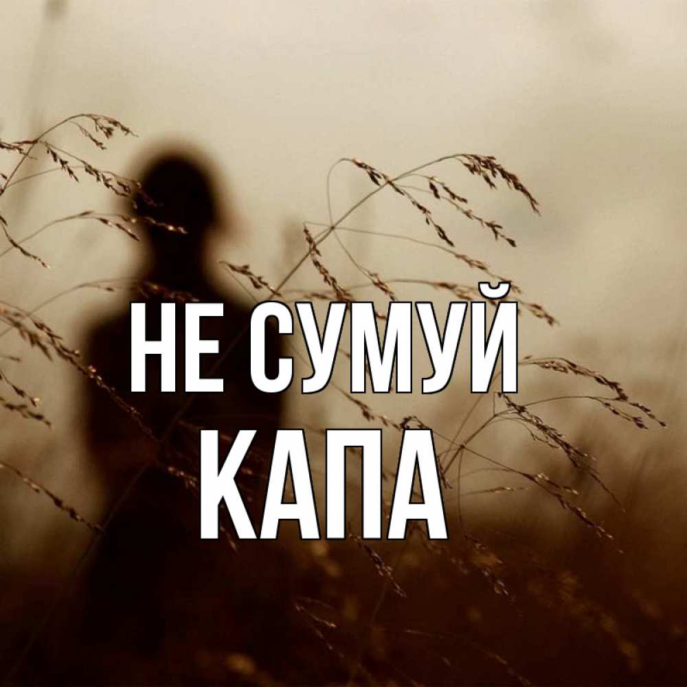 Открытка на каждый день з підписом, Капа Не сумуй грусть Прикольна листівка з побажанням онлайн скачати безкоштовно 