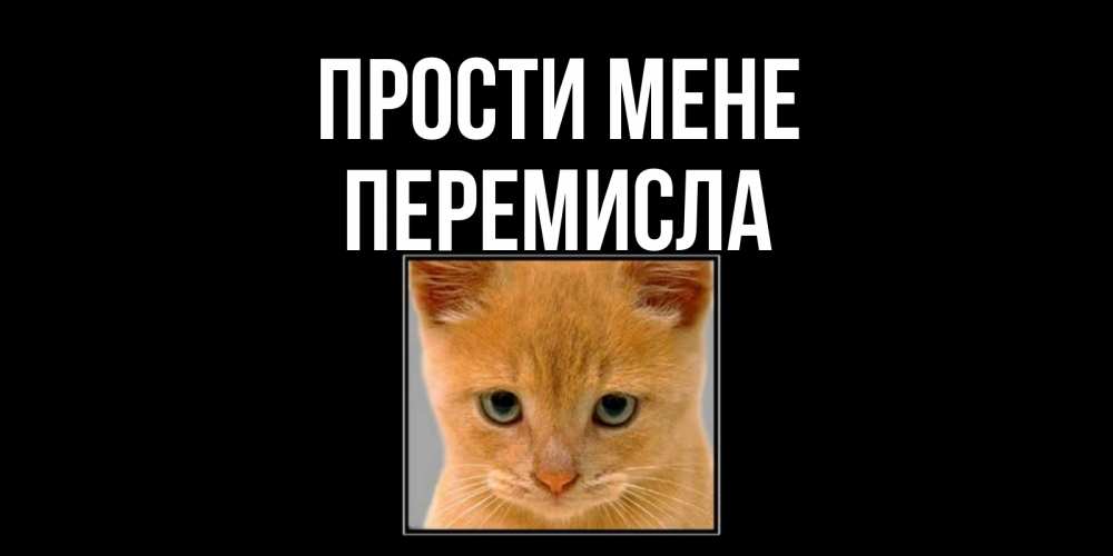 Открытка на каждый день з підписом, Перемисла Прости мене рыжий грустный кот просит прощения Прикольна листівка з побажанням онлайн скачати безкоштовно 