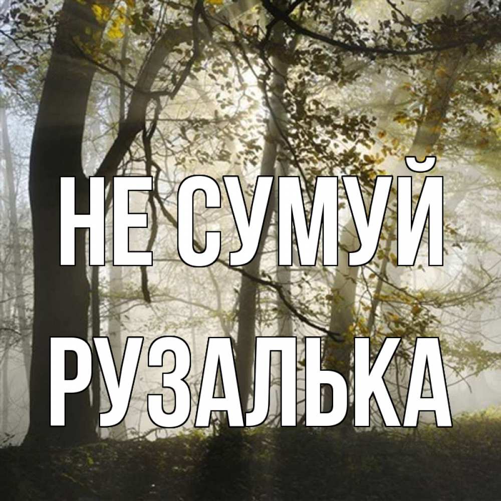 Открытка на каждый день з підписом, Рузалька Не сумуй лес и свет Прикольна листівка з побажанням онлайн скачати безкоштовно 