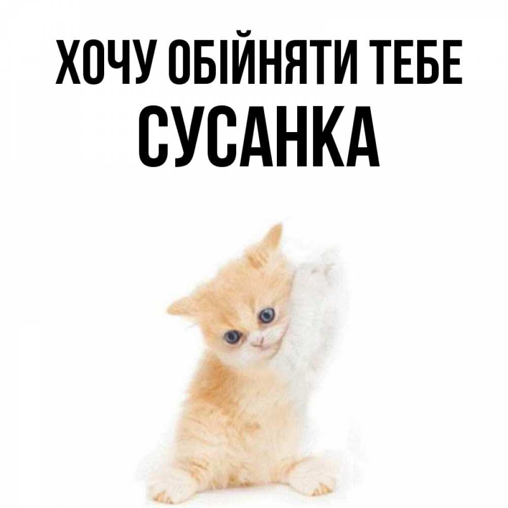 Открытка на каждый день з підписом, Сусанка Хочу обійняти тебе я хочу очень скорее обнимаешек Прикольна листівка з побажанням онлайн скачати безкоштовно 