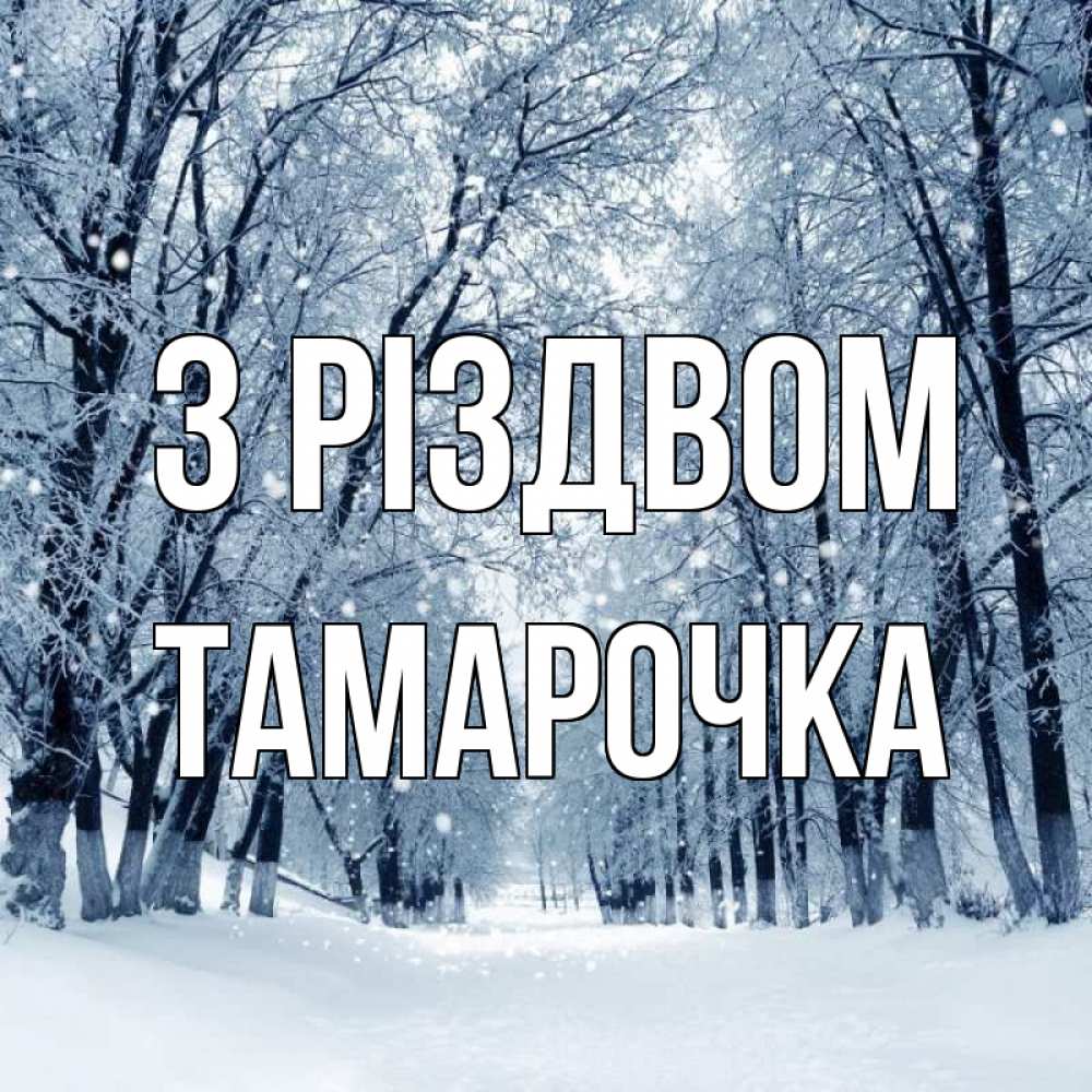 Открытка на каждый день з підписом, Тамарочка З Різдвом снег, лес, парк Прикольна листівка з побажанням онлайн скачати безкоштовно 