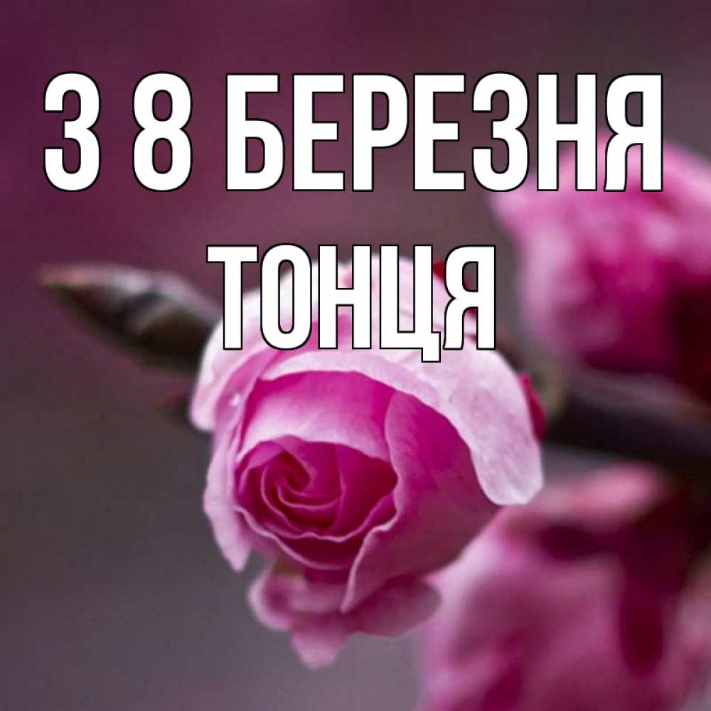 Открытка на каждый день з підписом, Тонця З 8 БЕРЕЗНЯ весна Прикольна листівка з побажанням онлайн скачати безкоштовно 