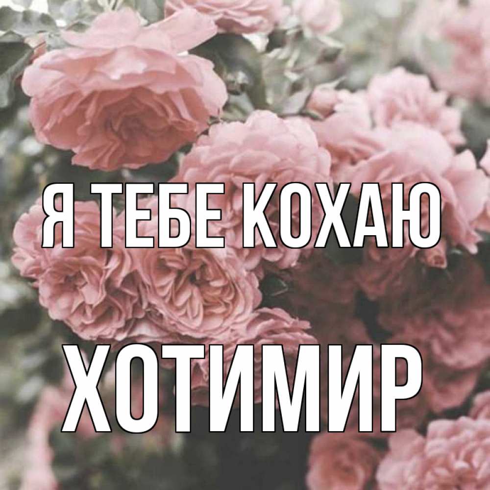 Открытка на каждый день з підписом, Хотимир Я тебе кохаю розы 3 Прикольна листівка з побажанням онлайн скачати безкоштовно 
