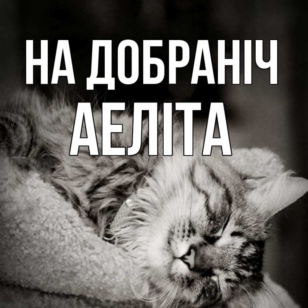 Открытка на каждый день з підписом, Аеліта На добраніч котярик пушистый Прикольна листівка з побажанням онлайн скачати безкоштовно 