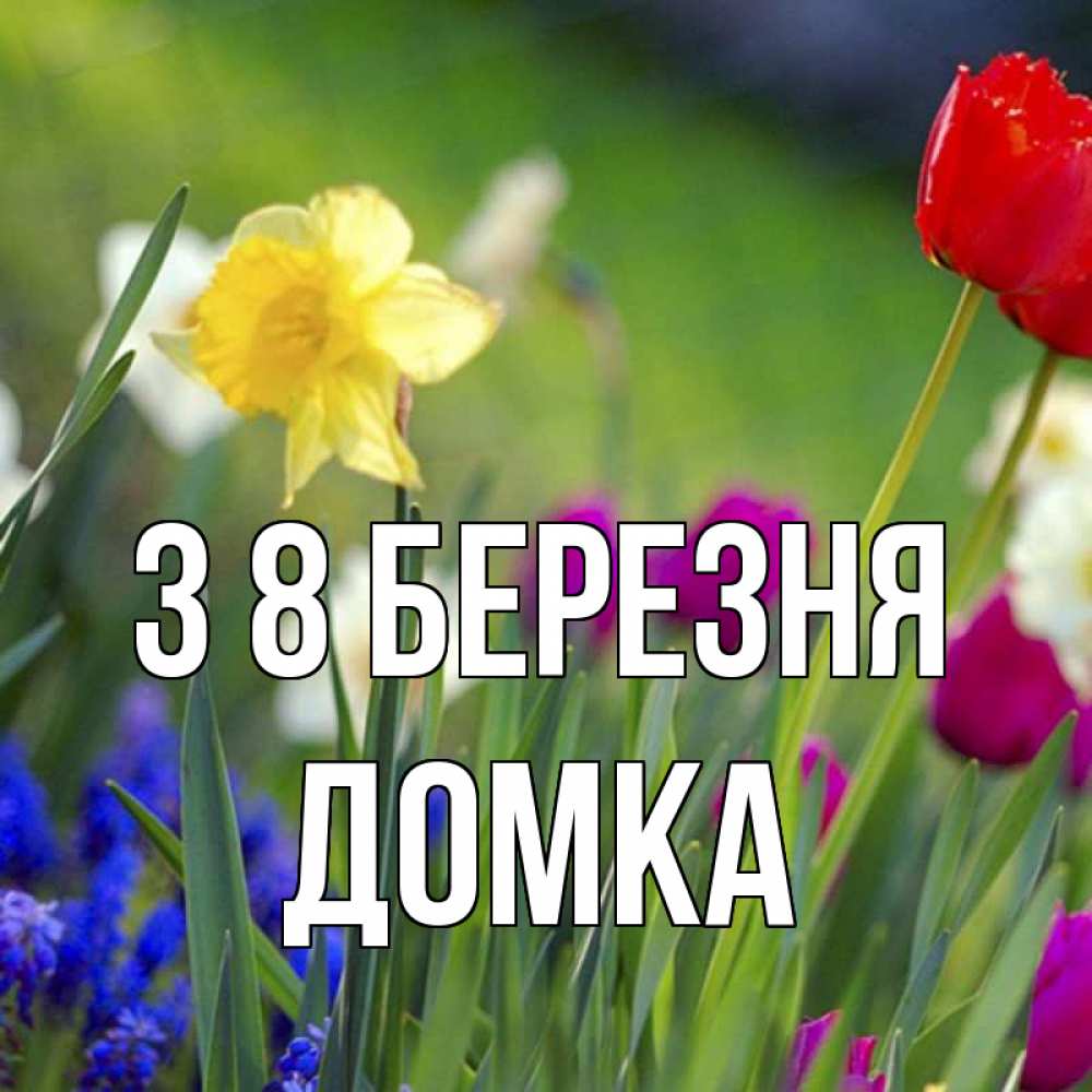 Открытка на каждый день з підписом, Домка З 8 БЕРЕЗНЯ международный женский день 3 Прикольна листівка з побажанням онлайн скачати безкоштовно 