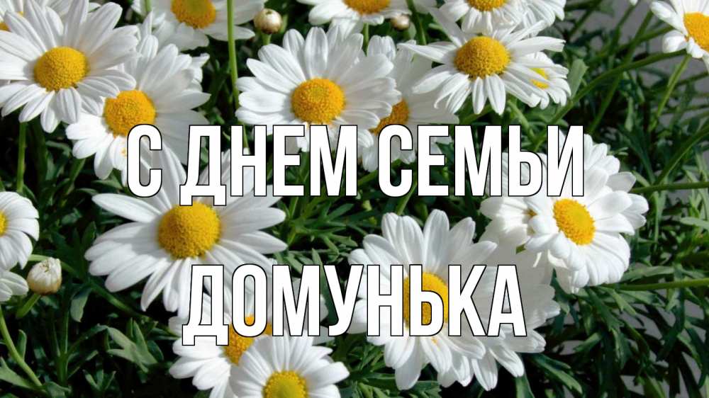 Открытка на каждый день з підписом, Домунька С днем семьи с днем семьи Прикольна листівка з побажанням онлайн скачати безкоштовно 