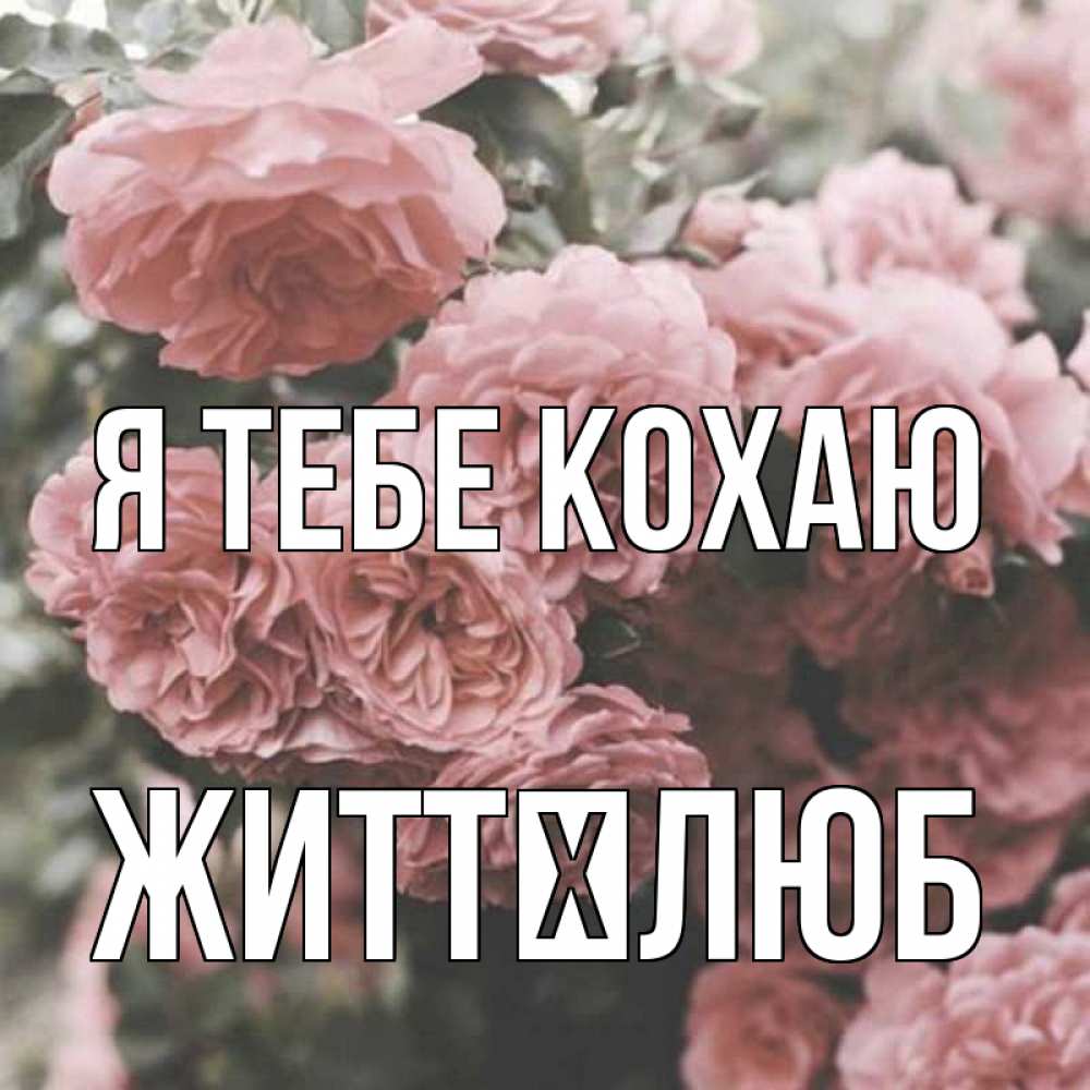 Открытка на каждый день з підписом, Життєлюб Я тебе кохаю розы 3 Прикольна листівка з побажанням онлайн скачати безкоштовно 