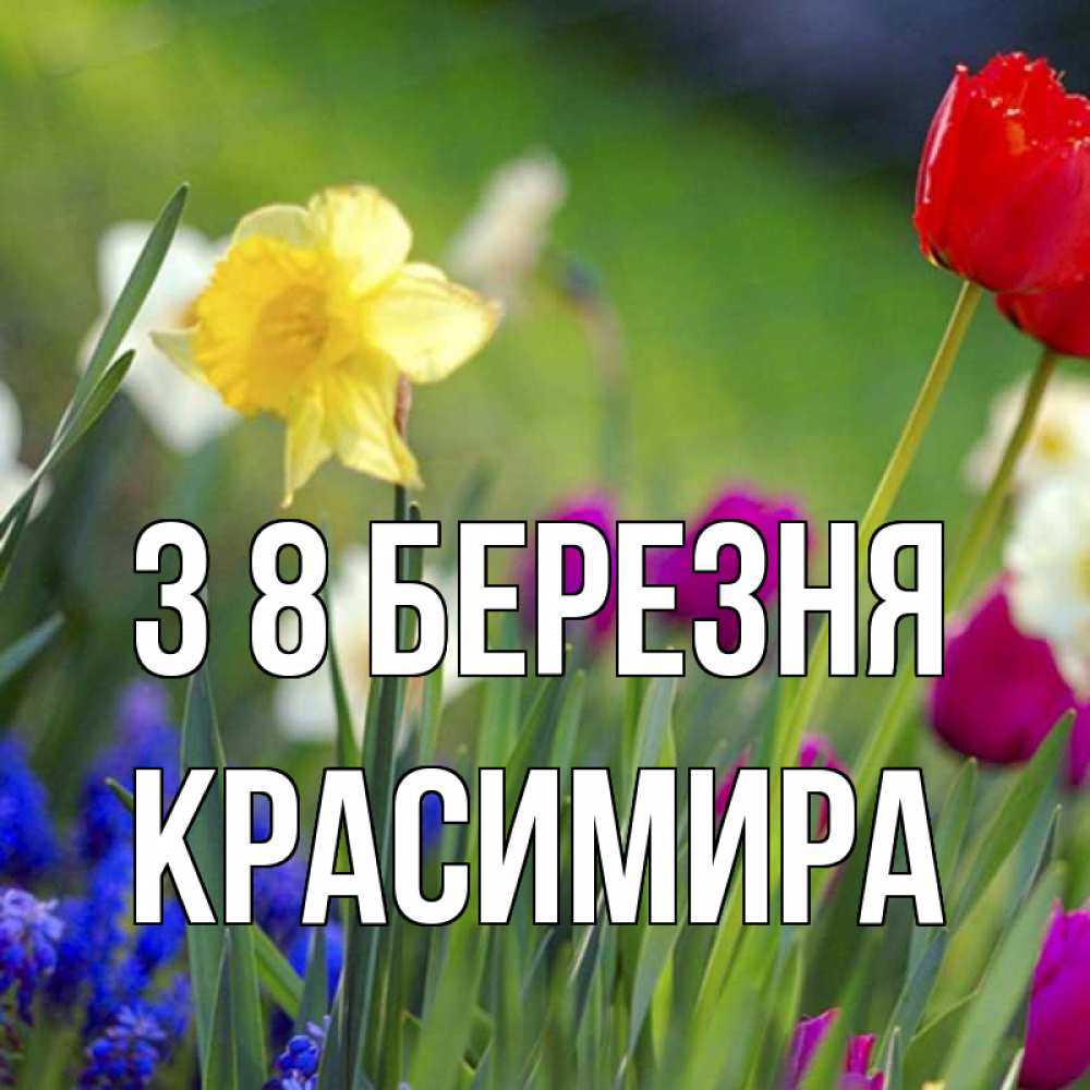 Открытка на каждый день з підписом, Красимира З 8 БЕРЕЗНЯ международный женский день 3 Прикольна листівка з побажанням онлайн скачати безкоштовно 