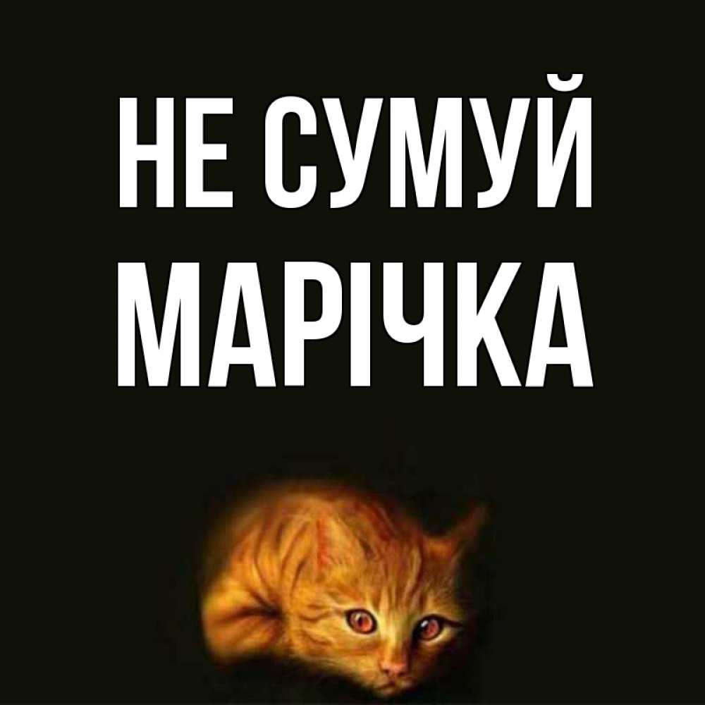 Открытка на каждый день з підписом, Марічка Не сумуй лежащий кот в темноте Прикольна листівка з побажанням онлайн скачати безкоштовно 