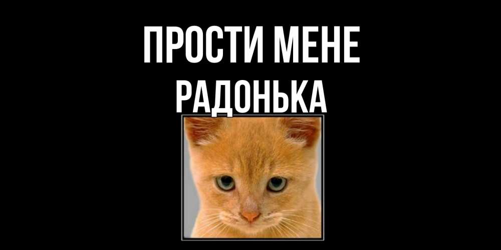 Открытка на каждый день з підписом, Радонька Прости мене рыжий грустный кот просит прощения Прикольна листівка з побажанням онлайн скачати безкоштовно 