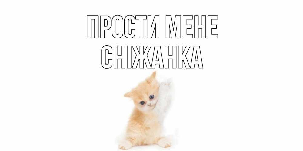 Открытка на каждый день з підписом, Сніжанка Прости мене кот Прикольна листівка з побажанням онлайн скачати безкоштовно 