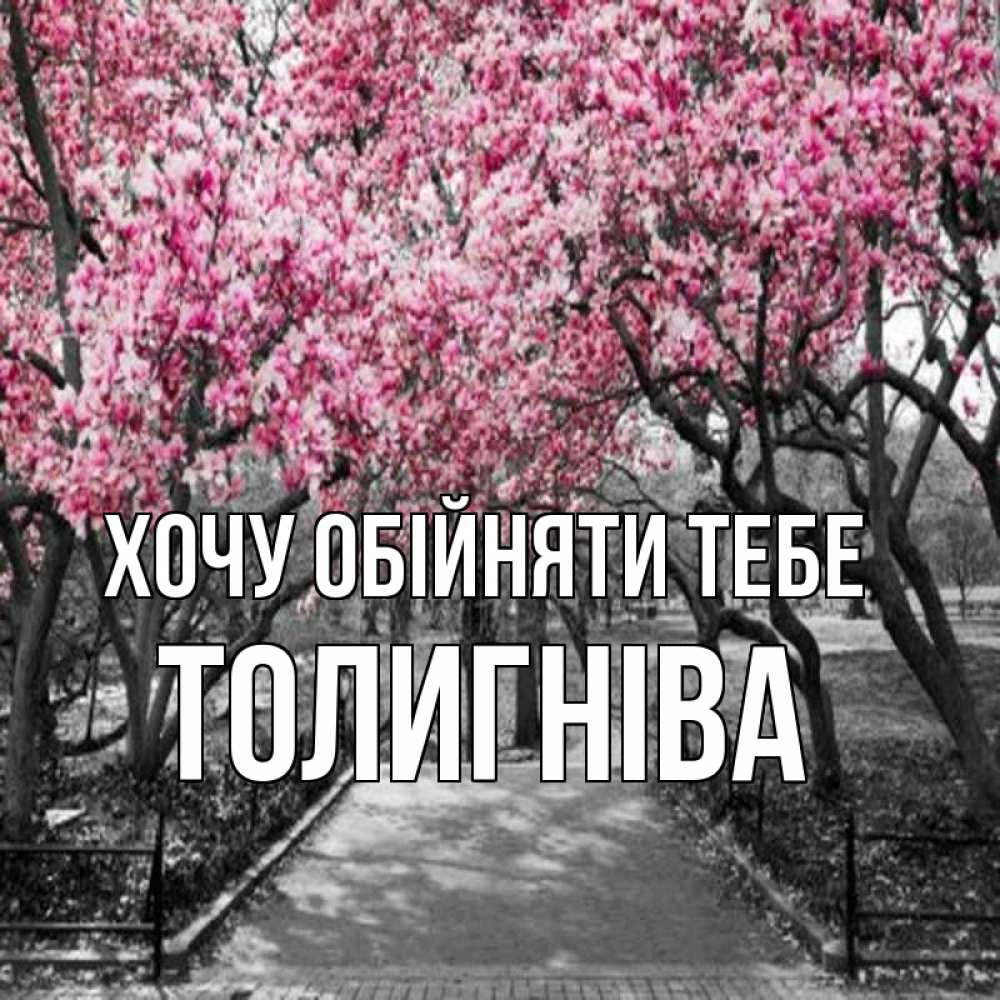 Открытка на каждый день з підписом, Толигніва Хочу обійняти тебе обработанное фото Прикольна листівка з побажанням онлайн скачати безкоштовно 