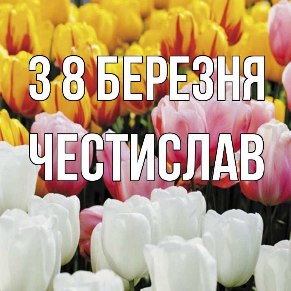 Открытка на каждый день з підписом, Честислав З 8 БЕРЕЗНЯ разноцветные цветы Прикольна листівка з побажанням онлайн скачати безкоштовно 