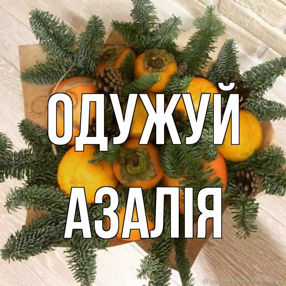 Открытка на каждый день з підписом, Азалія Одужуй апельсины и хурьма Прикольна листівка з побажанням онлайн скачати безкоштовно 