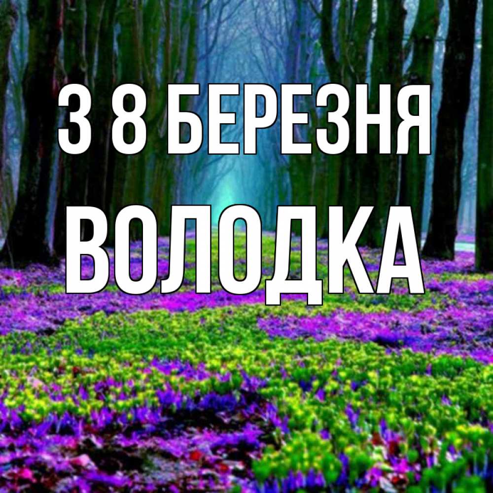 Открытка на каждый день з підписом, Володка З 8 БЕРЕЗНЯ фиолетовые цветы в лесу 1 Прикольна листівка з побажанням онлайн скачати безкоштовно 