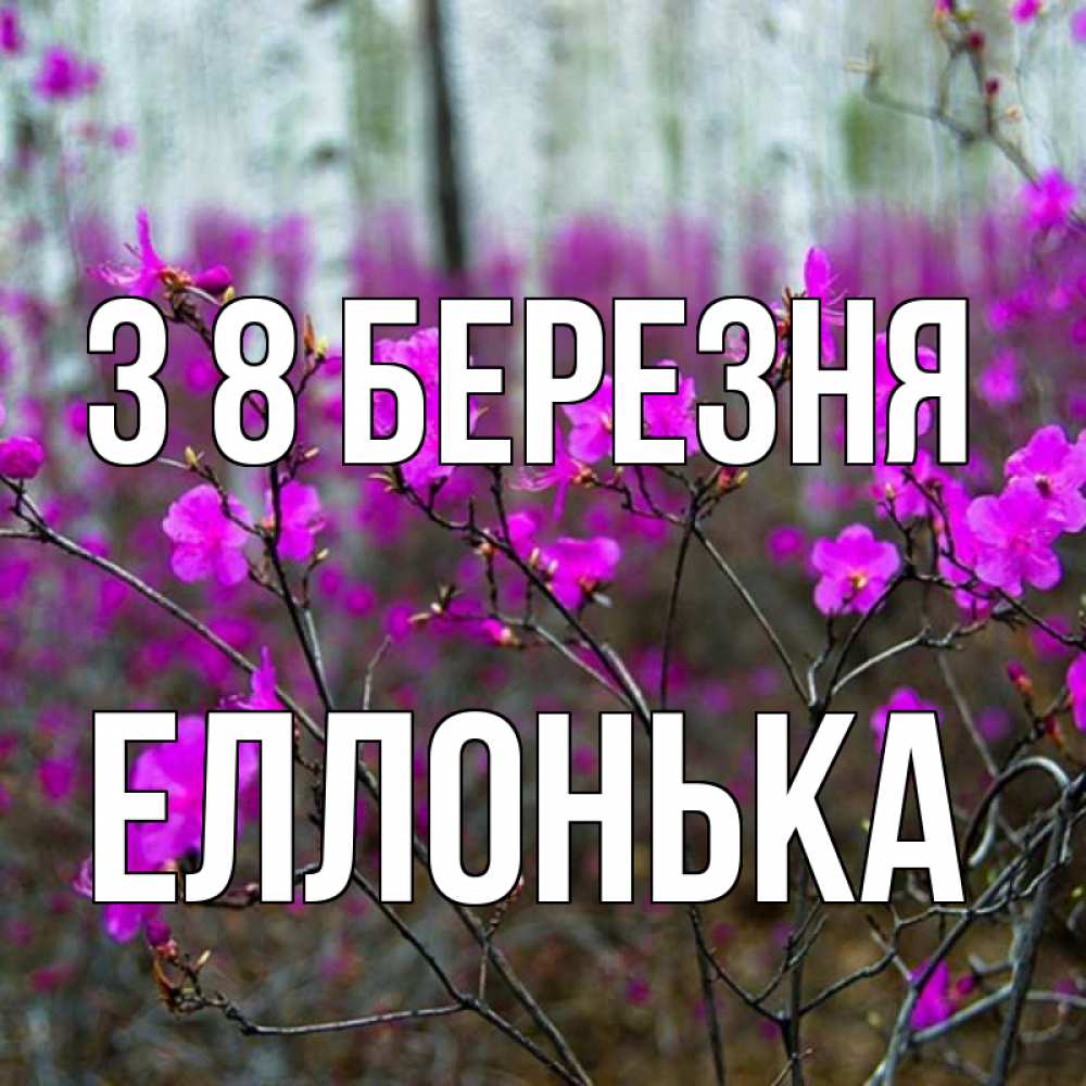 Открытка на каждый день з підписом, Еллонька З 8 БЕРЕЗНЯ дикие цветы Прикольна листівка з побажанням онлайн скачати безкоштовно 