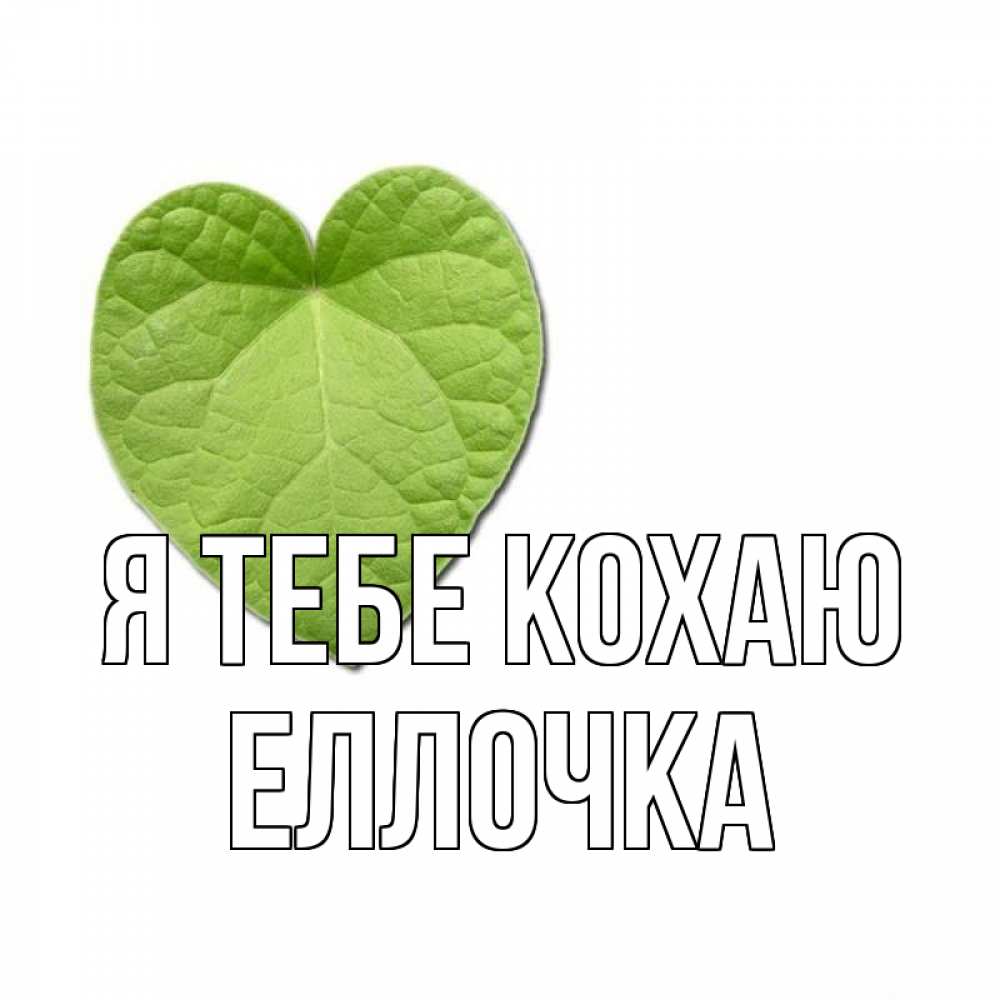 Открытка на каждый день з підписом, Еллочка Я тебе кохаю тебе Прикольна листівка з побажанням онлайн скачати безкоштовно 