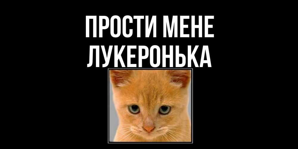 Открытка на каждый день з підписом, Лукеронька Прости мене рыжий грустный кот просит прощения Прикольна листівка з побажанням онлайн скачати безкоштовно 