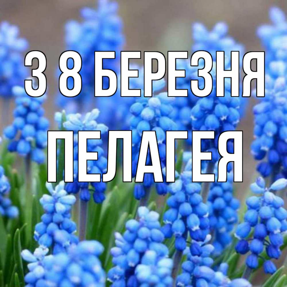 Открытка на каждый день з підписом, Пелагея З 8 БЕРЕЗНЯ Поздравительная открытка для женщин с цветами на праздничную дату Прикольна листівка з побажанням онлайн скачати безкоштовно 