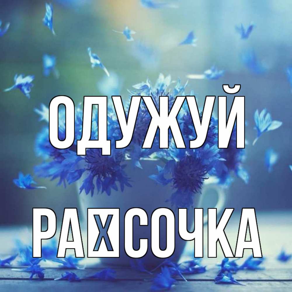 Открытка на каждый день з підписом, Раїсочка Одужуй кружка с зельем и цветами Прикольна листівка з побажанням онлайн скачати безкоштовно 