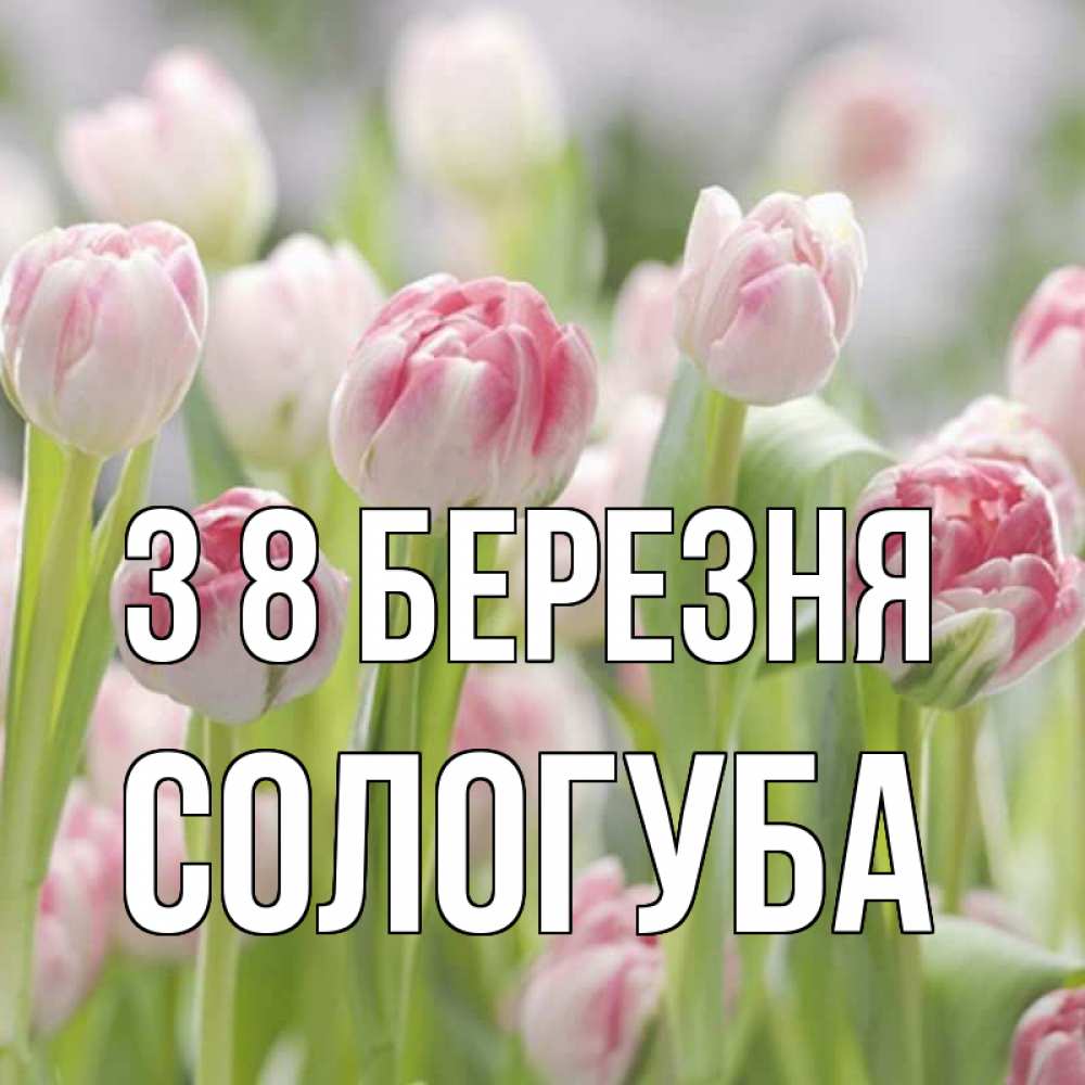 Открытка на каждый день з підписом, Сологуба З 8 БЕРЕЗНЯ цветы Прикольна листівка з побажанням онлайн скачати безкоштовно 