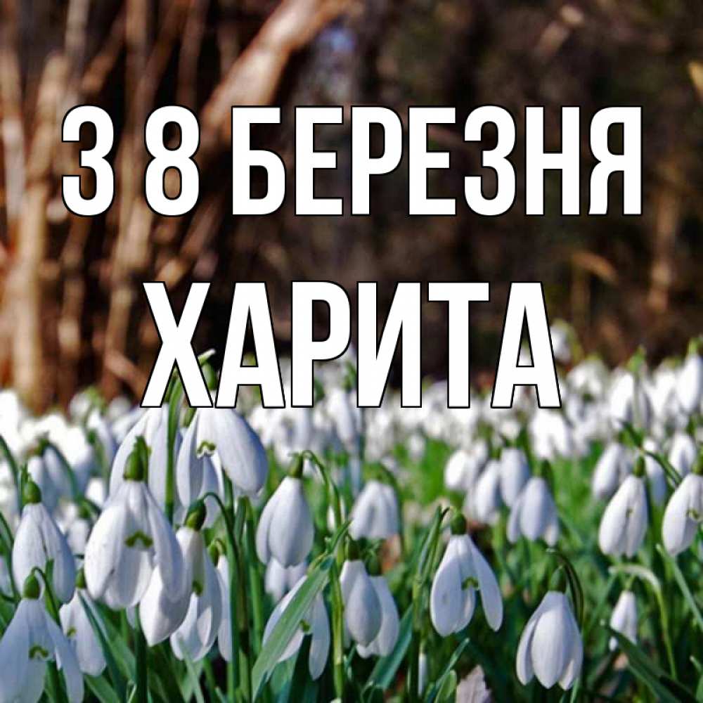 Открытка на каждый день з підписом, Харита З 8 БЕРЕЗНЯ с подснежниками 1 Прикольна листівка з побажанням онлайн скачати безкоштовно 