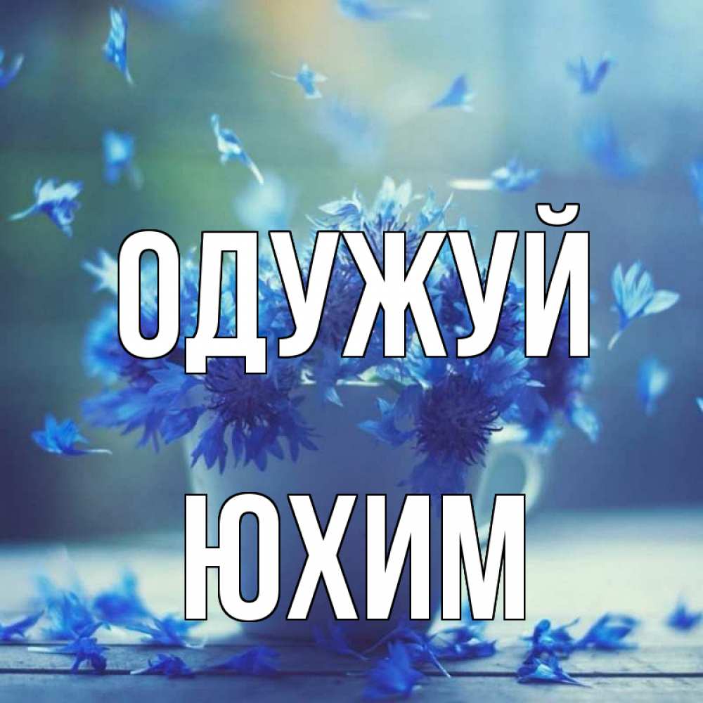 Открытка на каждый день з підписом, Юхим Одужуй кружка с зельем и цветами Прикольна листівка з побажанням онлайн скачати безкоштовно 