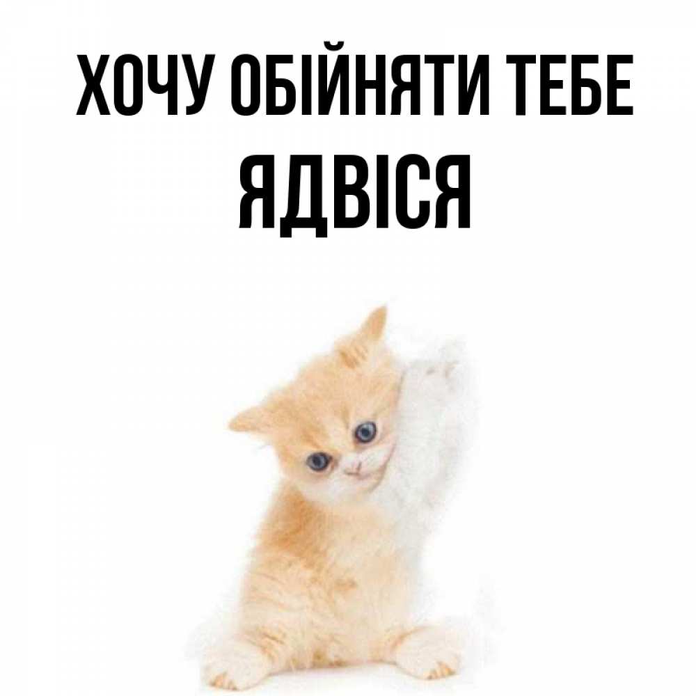 Открытка на каждый день з підписом, Ядвіся Хочу обійняти тебе я хочу очень скорее обнимаешек Прикольна листівка з побажанням онлайн скачати безкоштовно 