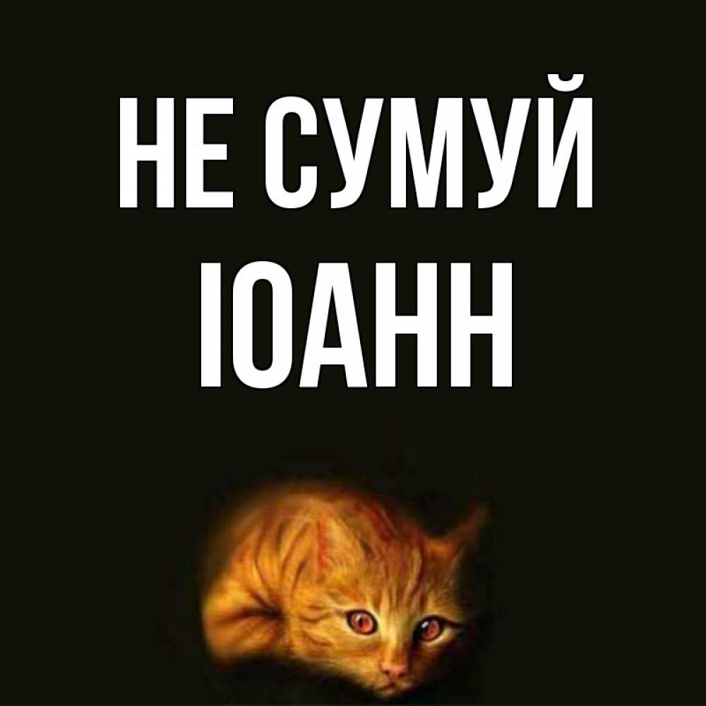 Открытка на каждый день з підписом, Іоанн Не сумуй лежащий кот в темноте Прикольна листівка з побажанням онлайн скачати безкоштовно 