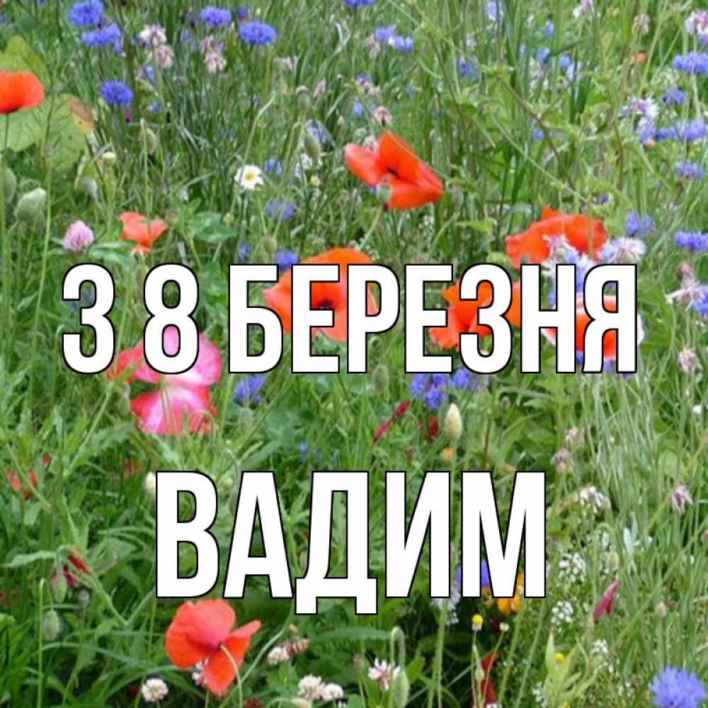 Открытка на каждый день з підписом, Вадим З 8 БЕРЕЗНЯ международный женский день 4 Прикольна листівка з побажанням онлайн скачати безкоштовно 