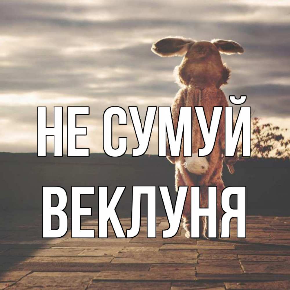 Открытка на каждый день з підписом, Веклуня Не сумуй со спины Прикольна листівка з побажанням онлайн скачати безкоштовно 
