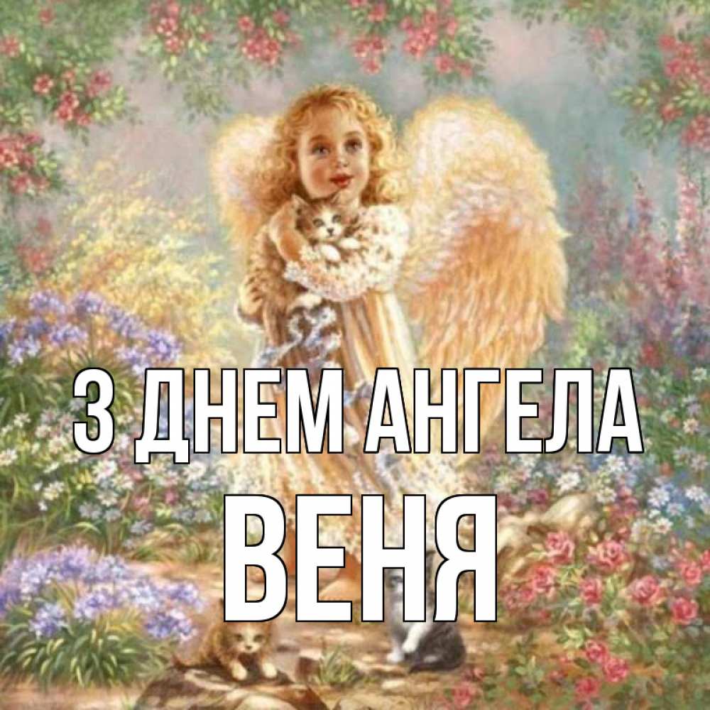Открытка на каждый день з підписом, Веня З Днем ангела держит котенка Прикольна листівка з побажанням онлайн скачати безкоштовно 