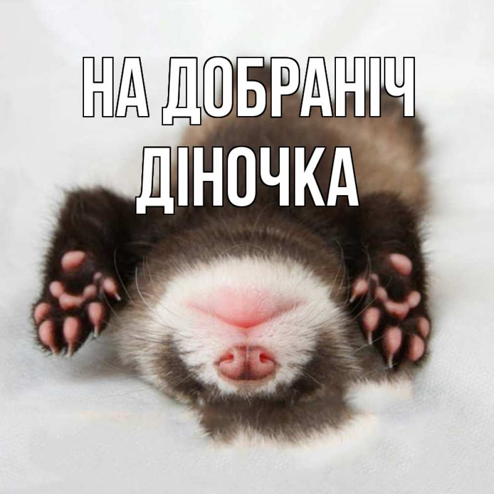 Открытка на каждый день з підписом, Діночка На добраніч зверек Прикольна листівка з побажанням онлайн скачати безкоштовно 