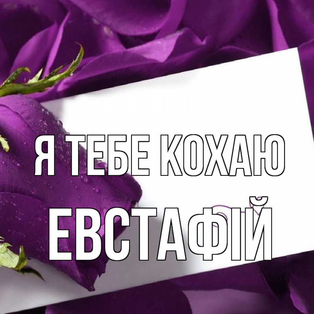 Открытка на каждый день з підписом, Евстафій Я тебе кохаю роза Прикольна листівка з побажанням онлайн скачати безкоштовно 