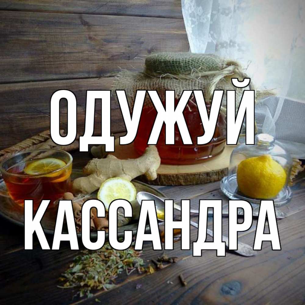 Открытка на каждый день з підписом, Кассандра Одужуй банка с медом Прикольна листівка з побажанням онлайн скачати безкоштовно 