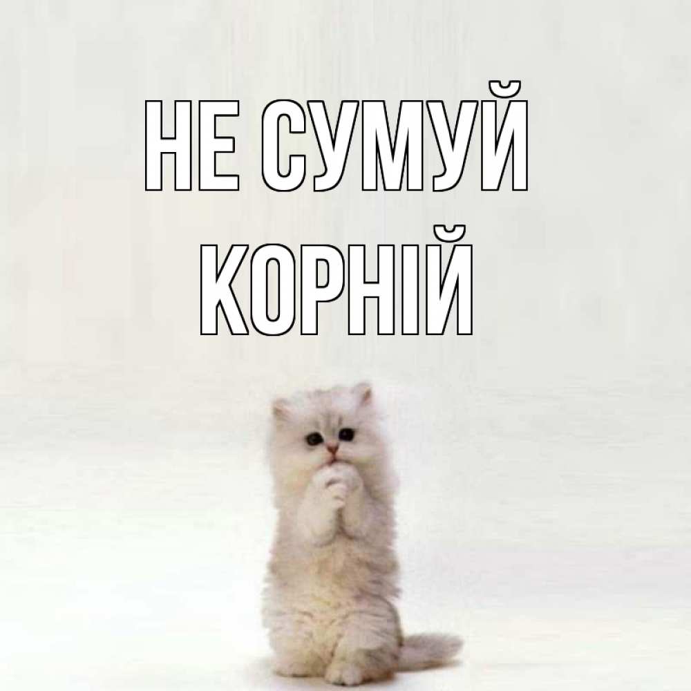 Открытка на каждый день з підписом, Корній Не сумуй грустный кот Прикольна листівка з побажанням онлайн скачати безкоштовно 
