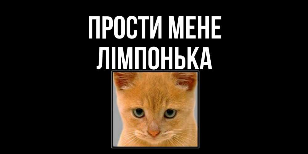 Открытка на каждый день з підписом, Лімпонька Прости мене рыжий грустный кот просит прощения Прикольна листівка з побажанням онлайн скачати безкоштовно 
