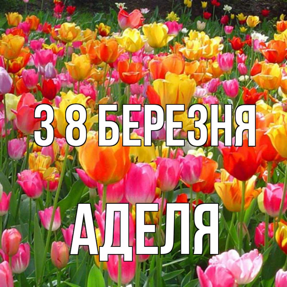 Открытка на каждый день з підписом, Аделя З 8 БЕРЕЗНЯ на международный женский день Прикольна листівка з побажанням онлайн скачати безкоштовно 