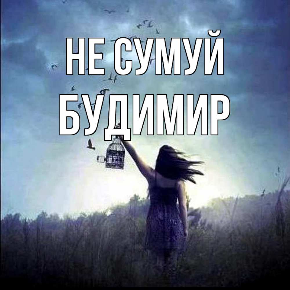 Открытка на каждый день з підписом, Будимир Не сумуй на волю Прикольна листівка з побажанням онлайн скачати безкоштовно 