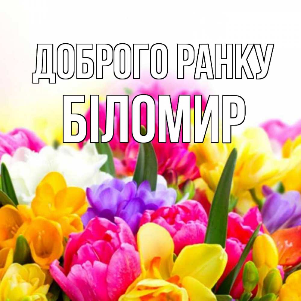 Открытка на каждый день з підписом, Біломир Доброго ранку создать открытку со свое подписью Прикольна листівка з побажанням онлайн скачати безкоштовно 