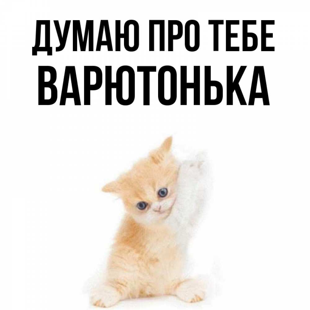 Открытка на каждый день з підписом, Варютонька Думаю про тебе зверушки и милота Прикольна листівка з побажанням онлайн скачати безкоштовно 